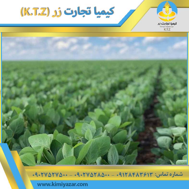 سیلاژ یونجه