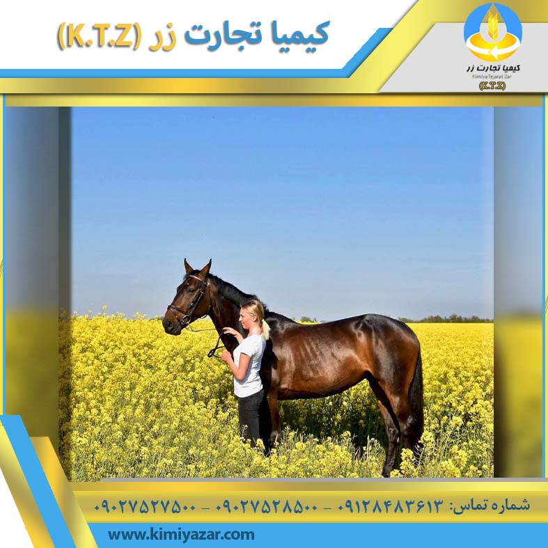 انواع کنسانتره دامی