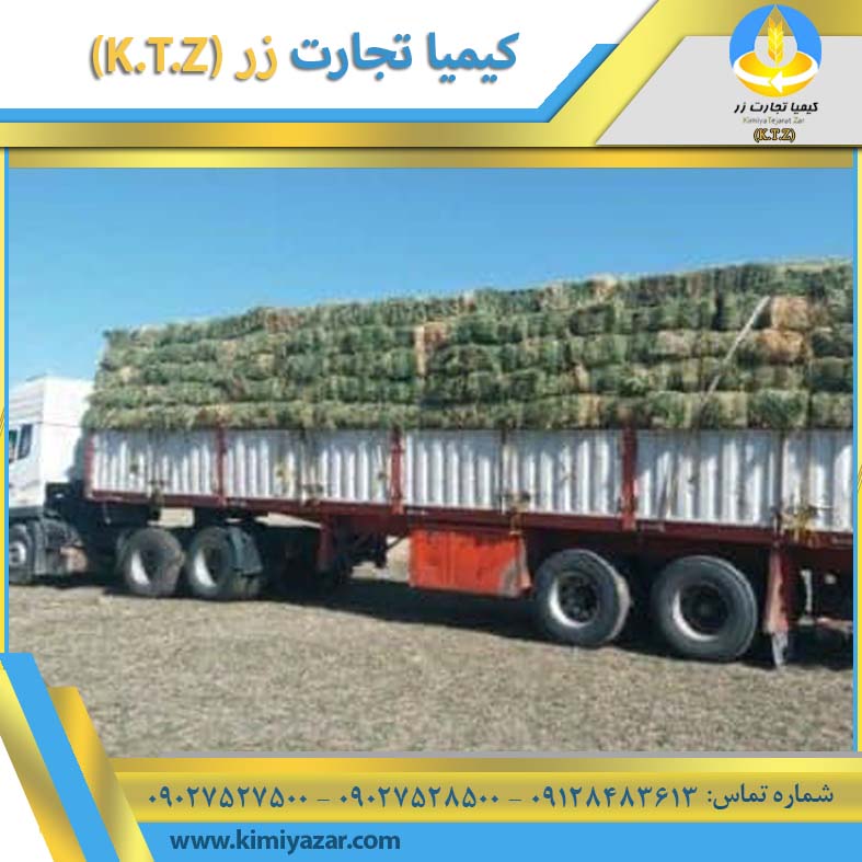 قیمت یونجه خشک