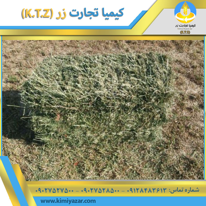 قیمت یونجه در سال ۱۴۰5