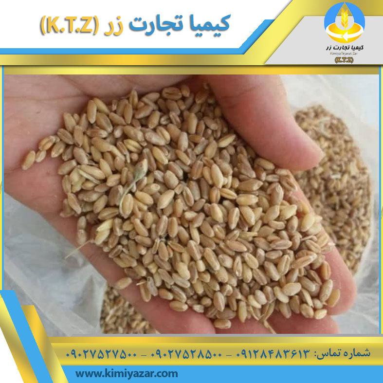 قیمت گندم در سال ۱۴۰5