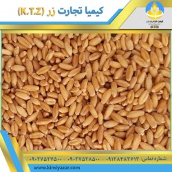 مرکز فروش گندم مرغی در تهران