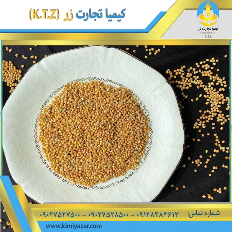 خرید عمده ارزن در تهران
