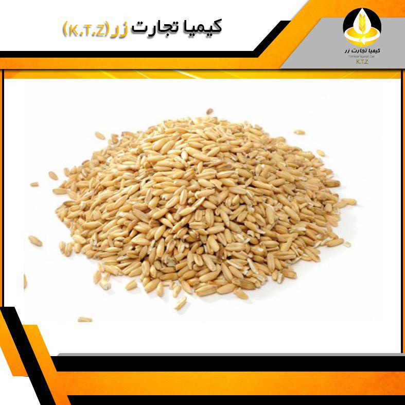 مرکز خرید عمده گندم در تهران