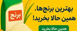 برنج هندی محسن