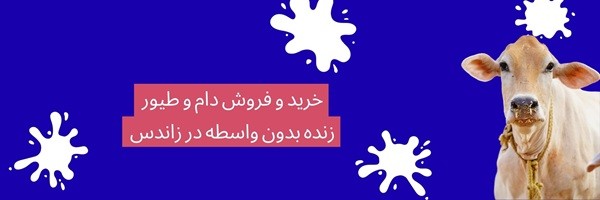 تست