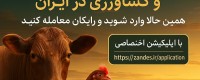 استارتر بره
