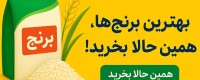برنج کامفیروزی