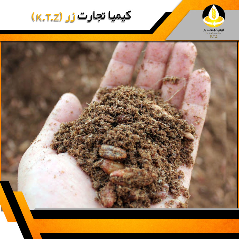 تفاله انگور