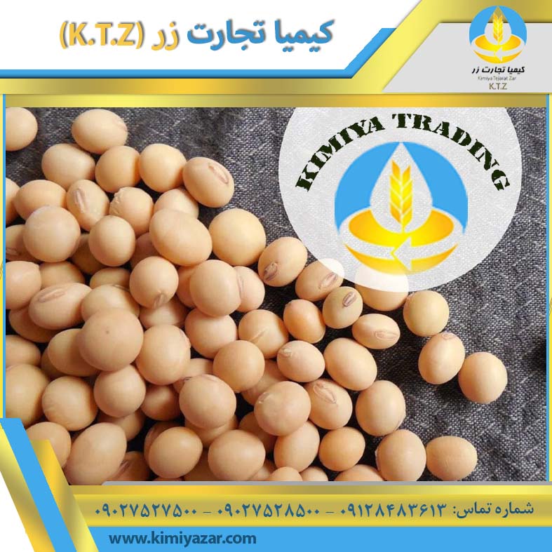 دانه سویا مازندران
