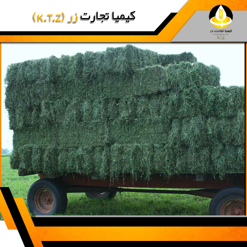 یونجه بسته بندی سمنان