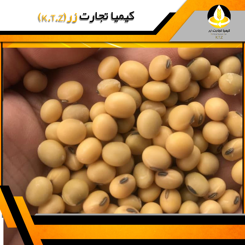 دانه سویا دشت مغان