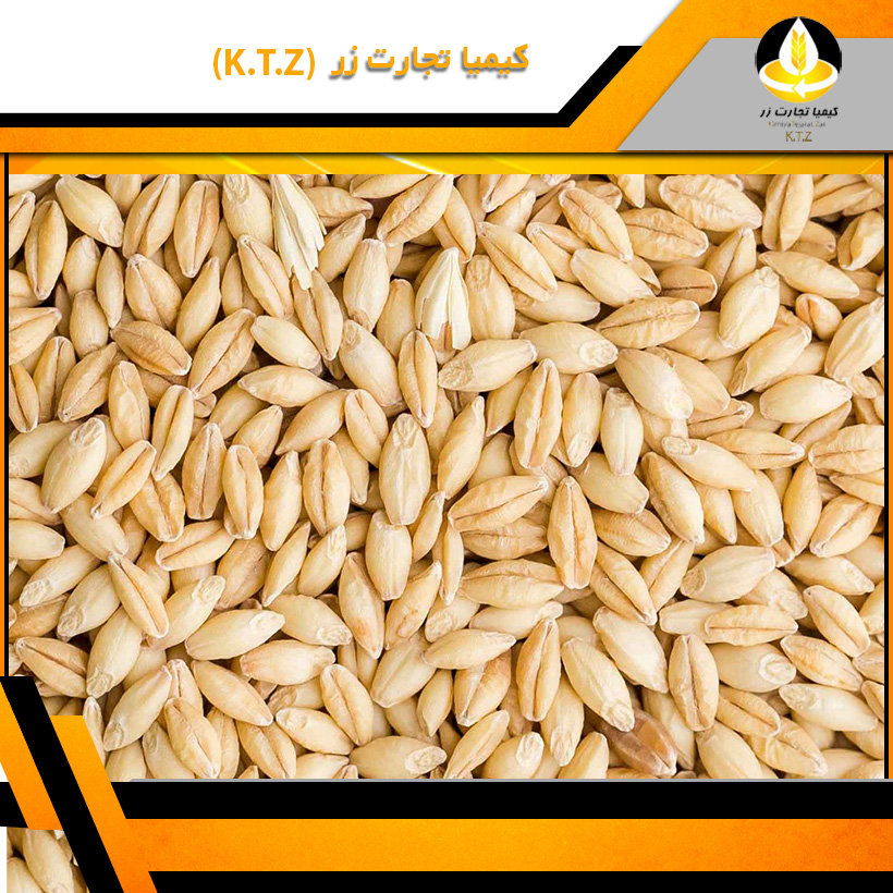 خرید و فروش جو داخلی
