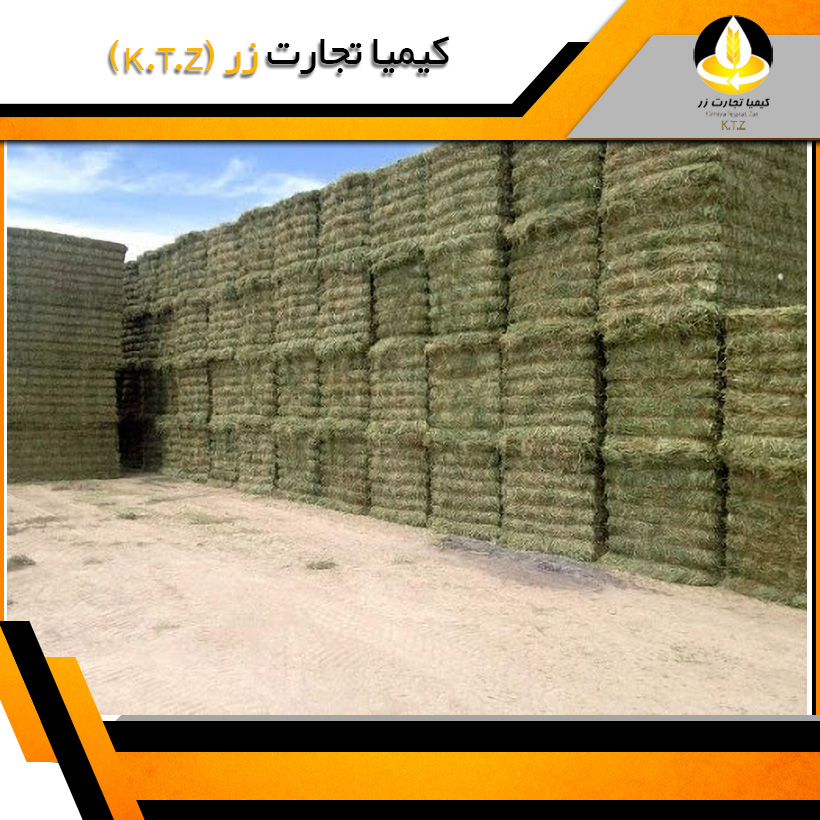 یونجه بسته بندی همدان