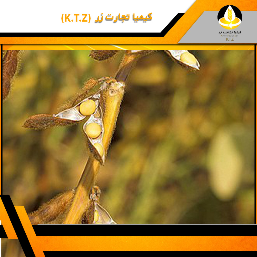 فروش روغن سویا