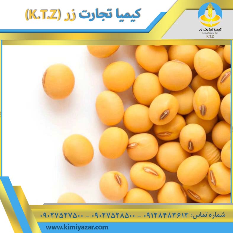 دانه سویا دشت مغان