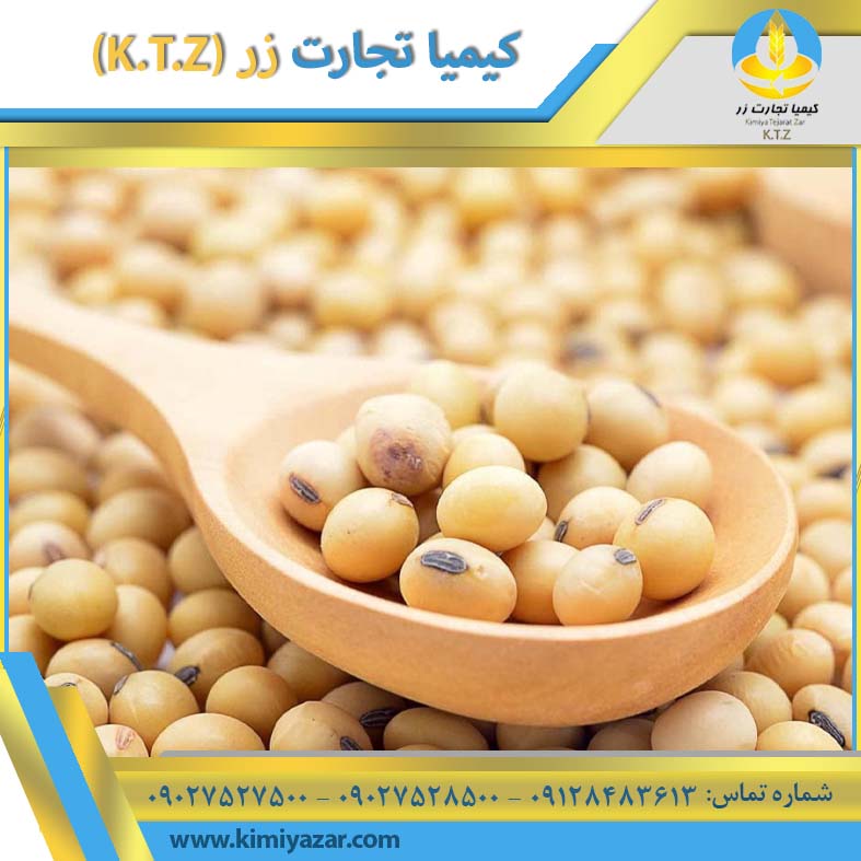 دانه سویا آرژانتین