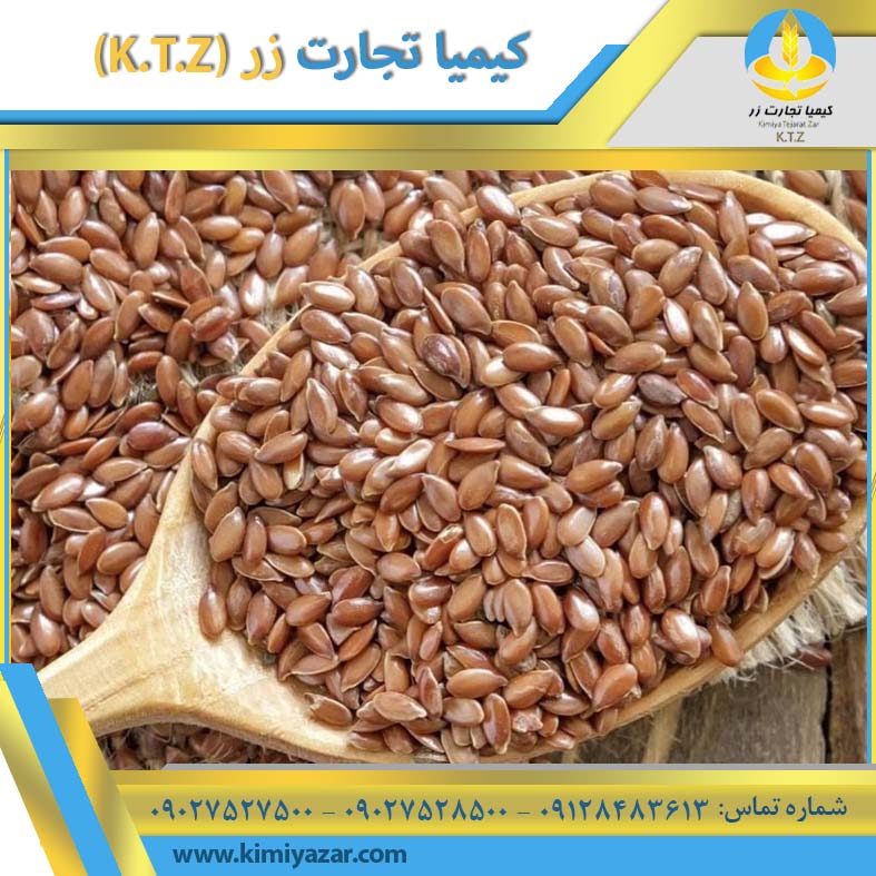 دانه کتان روسیه