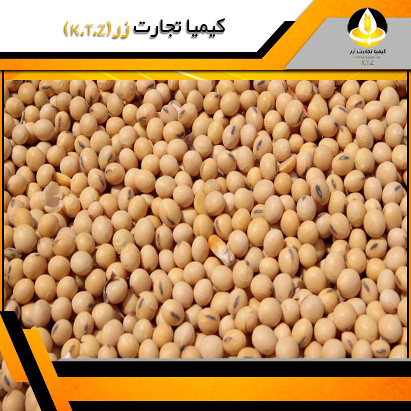 دانه سویا آمریکایی