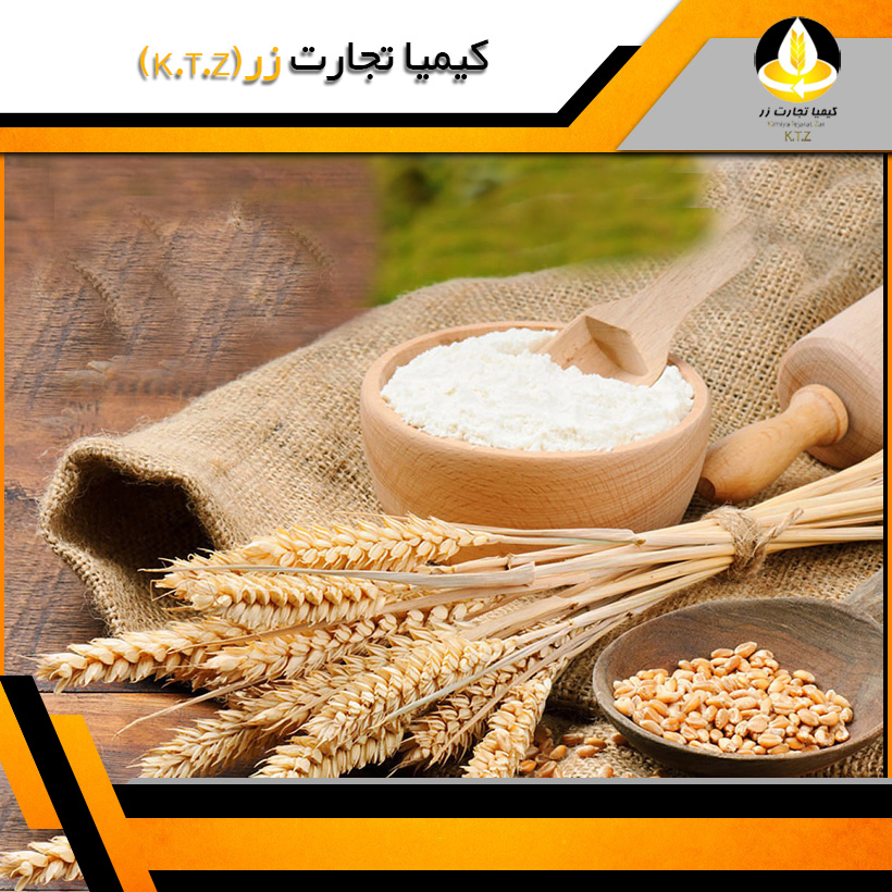 خرده گندم تابان