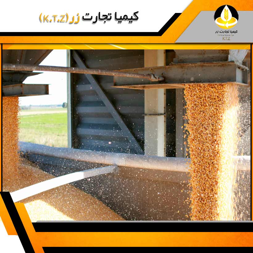 ذرت اکراین دزفول