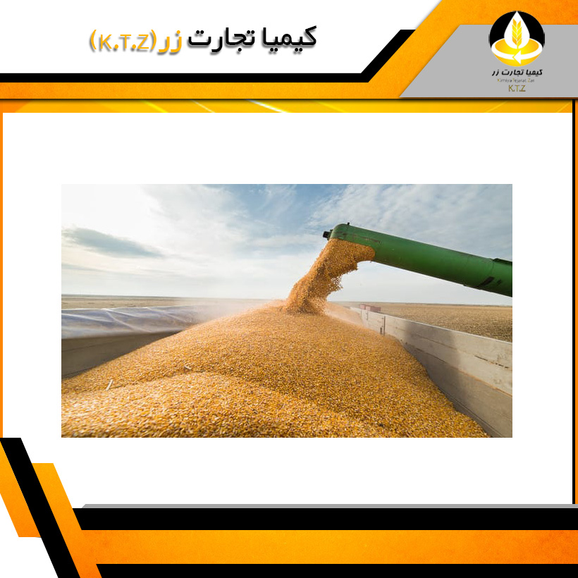 خرده گندم هلیانه