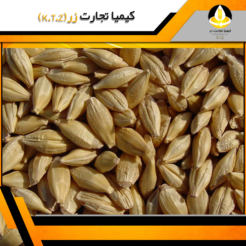 جو داخلی همدان