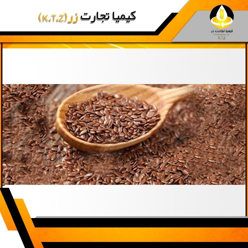 دانه کتان قزاقستان