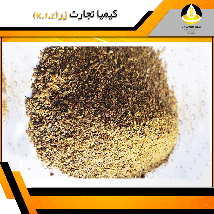 کنجاله کلزا روسیه