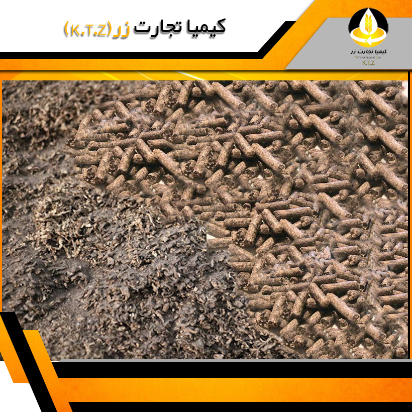 تفاله چغندر همدان