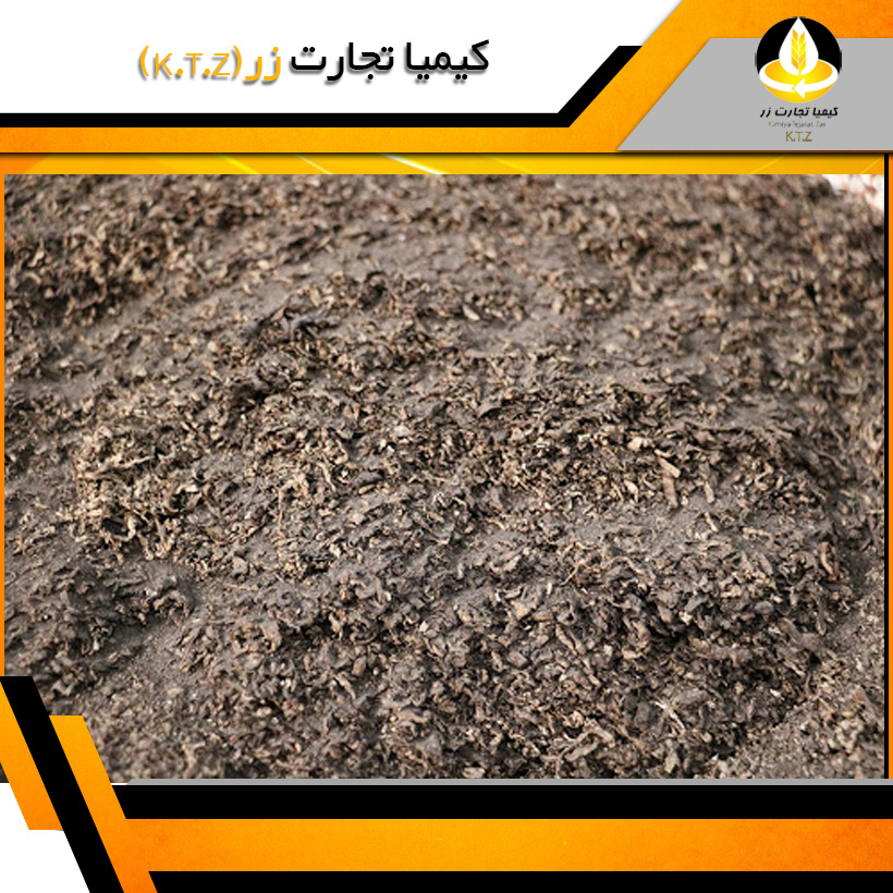 تفاله چغندر بروجرد
