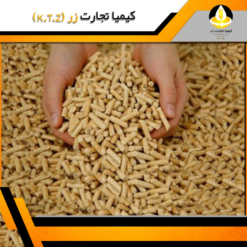 خوراک آغازین