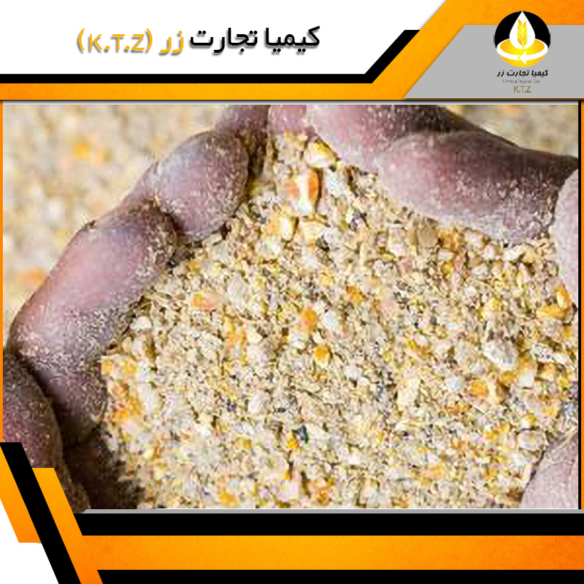 خوراک تخمگذار2