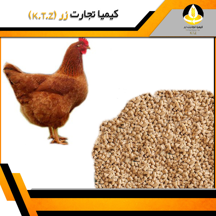 خوراک تخمگذار3