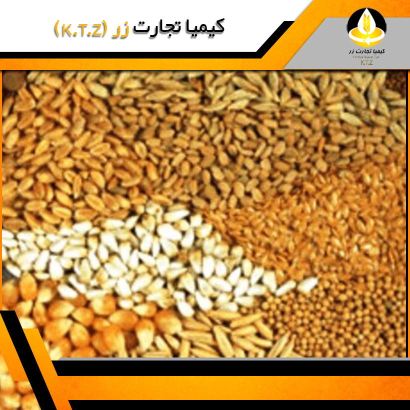 خوراک آماده گاو متوسط شیر