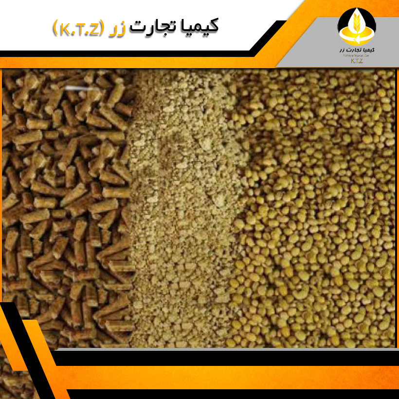 خوراک پیش آغازین