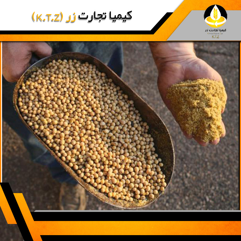 خوراک پایانی2