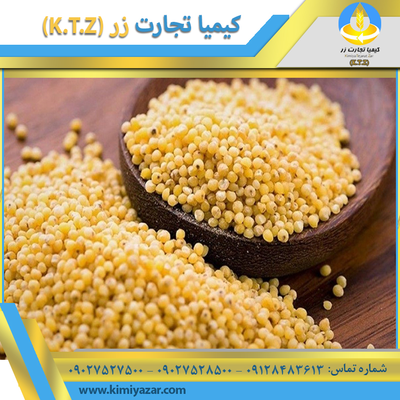 ارزن روسیه