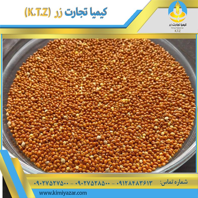 ارزن قرمز روسیه