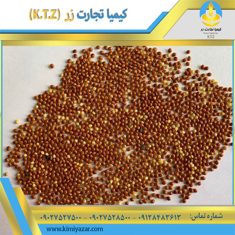ارزن قرمز روسیه