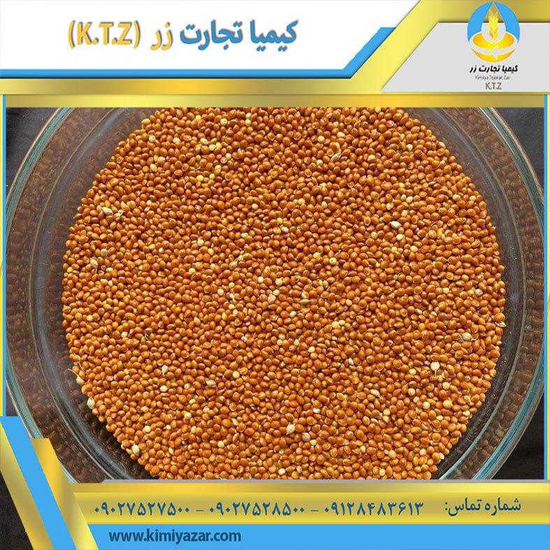 ارزن قرمز روسیه