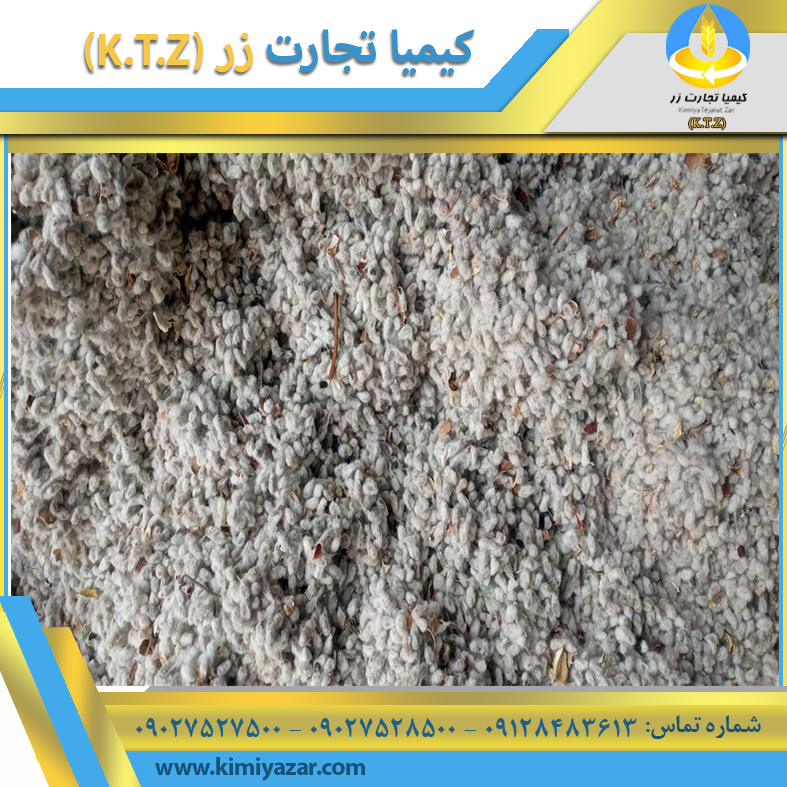 تخم پنبه خراسان 