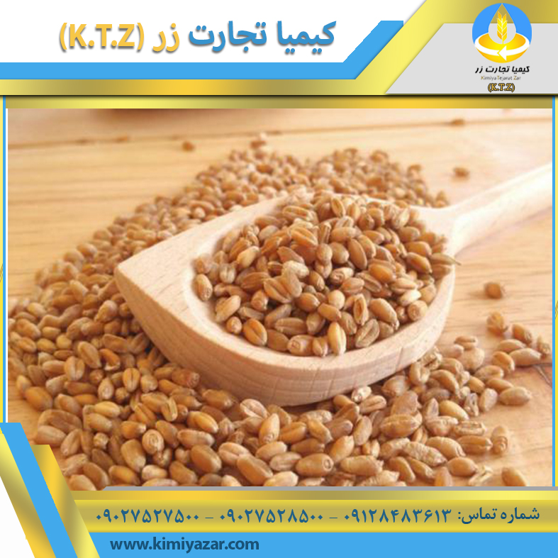 جو داخلی اردبیل