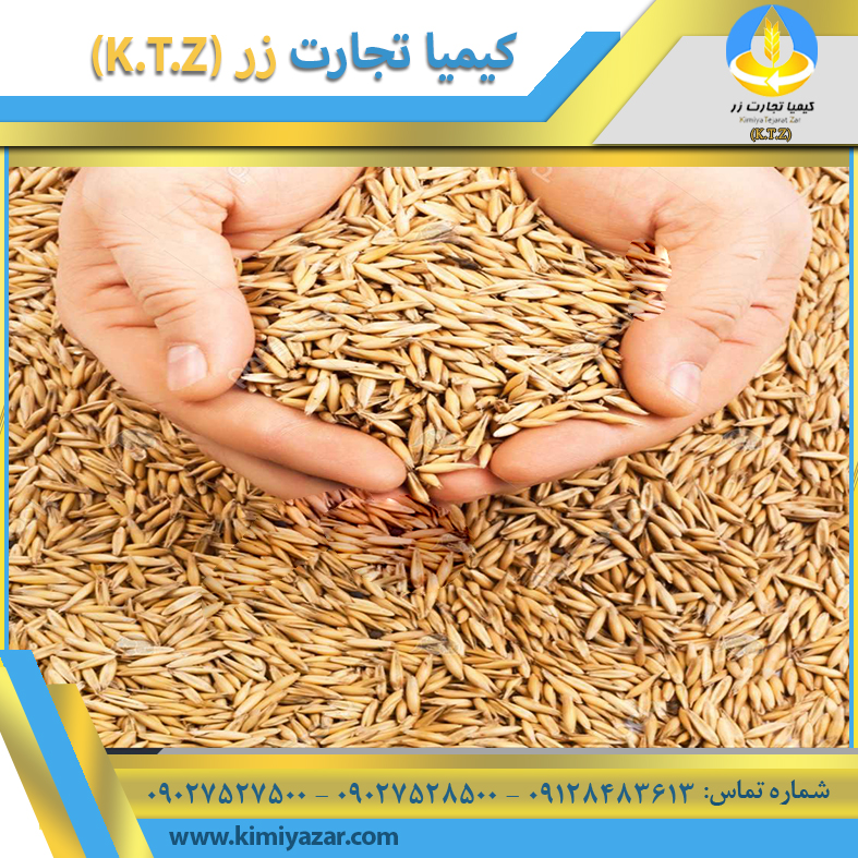 جو داخلی شیراز