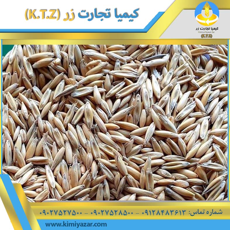 جو داخلی اصفهان