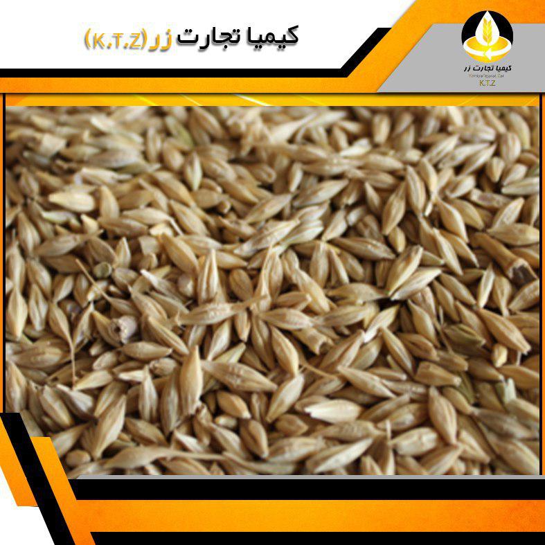 جو روس بندر امیرآباد