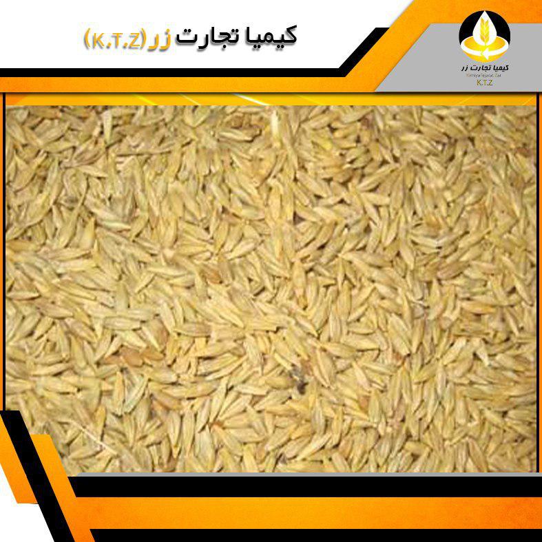 جو روس بندر انزلی