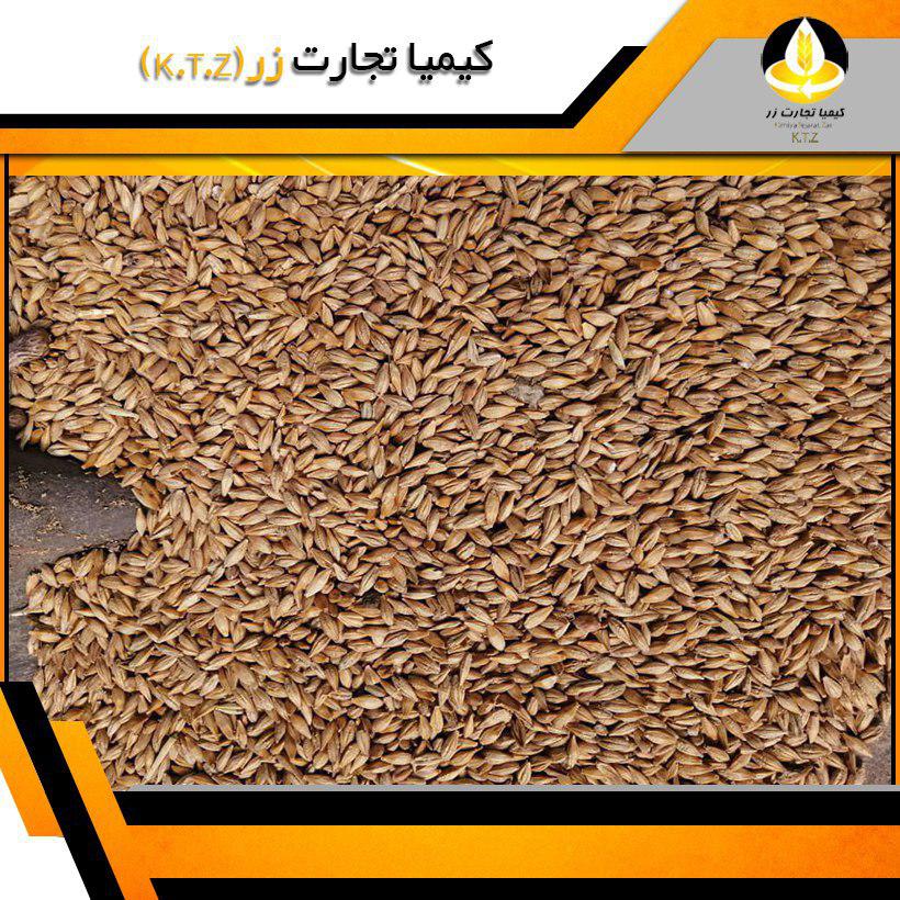 جو روس فریدونکنار