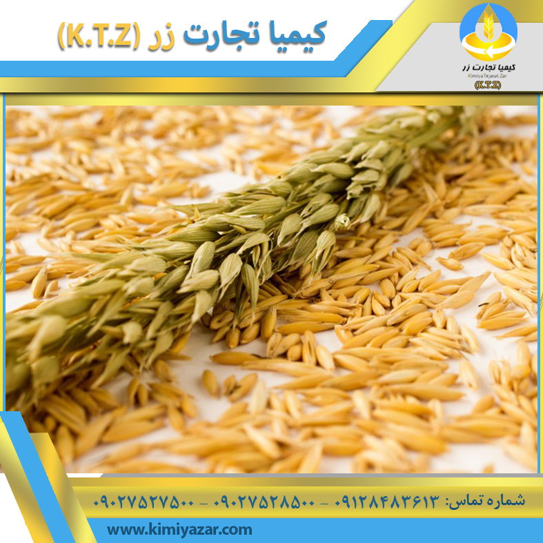دانه جو دو سر پوست کنده نشده