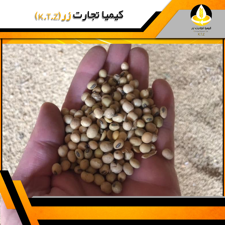 دانه سویا اکراین